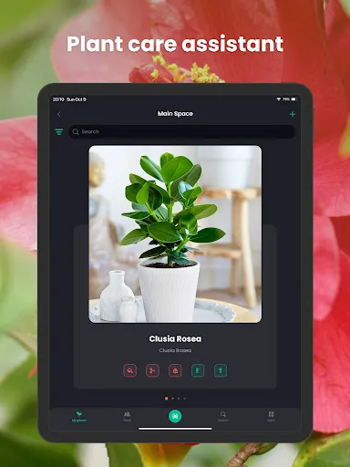 PlantIn Plant Identifier, Care screenshot