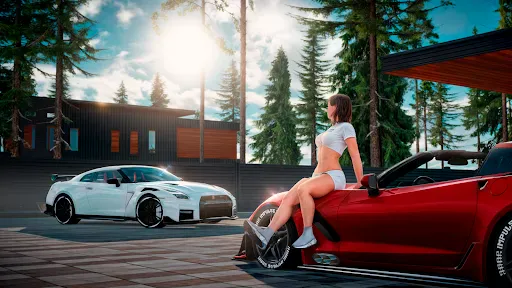 Drive Zone: Car Simulator Game screenshot